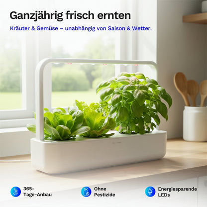 Click & Grow Smart Garden 9 - Indoor Kräutergarten (Farbe: weiß oder grau)