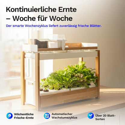 Click & grow 25 - Indoor Kräutergarten (Farbe: weiß)