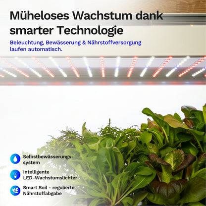 Click & grow 25 - Indoor Kräutergarten (Farbe: weiß)