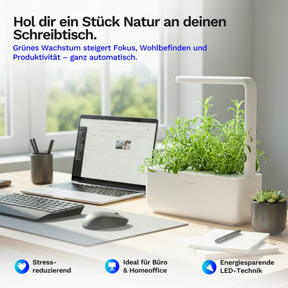 Click & grow Smart Garden 3 - Indoor Kräutergarten (Farbe: weiß oder grau)